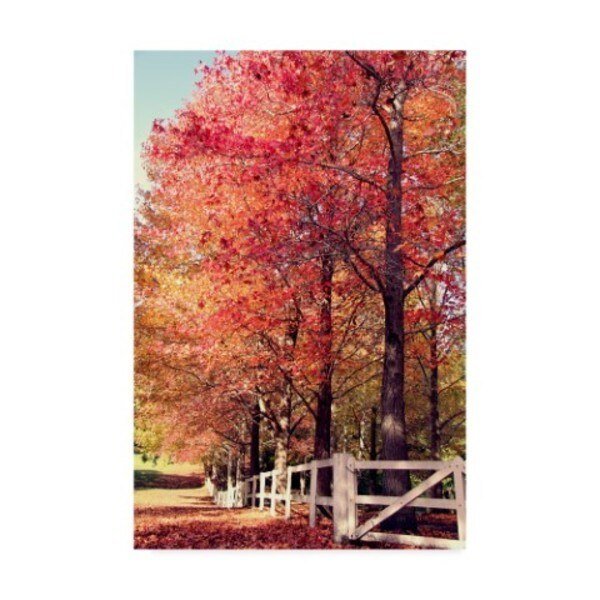 Incredi 'Autumn Garden' Canvas Art, 22x32, Trademark Fine Art, Mfr#: ALI36219-C2232GG